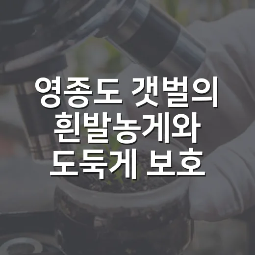 영종도 갯벌의 흰발농게와 도둑게 보호 절실