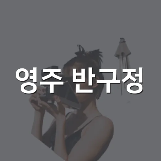 영주 반구정, 역사와 자연이 어우러진 산책길