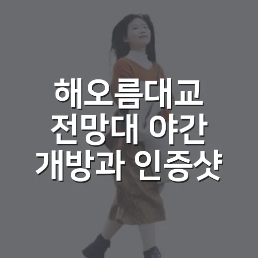 해오름대교 전망대 야간 개방과 인증샷 이벤트