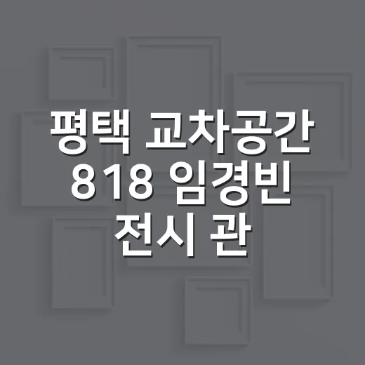 평택 교차공간 818 임경빈 전시 관람기