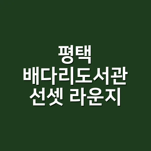 평택 배다리도서관 선셋 라운지, 노을과 책의 만남