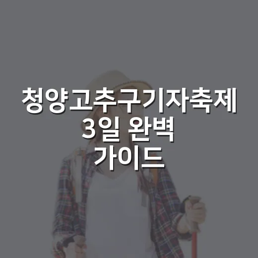 청양고추구기자축제 3일 완벽 가이드