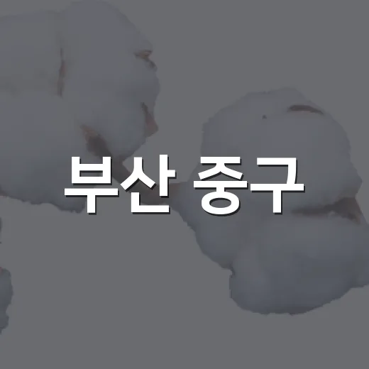 부산 중구, 2026년 탄소중립 사진 공모전 개최