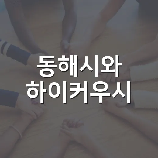 동해시와 하이커우시, 우호교류 20년의 동행