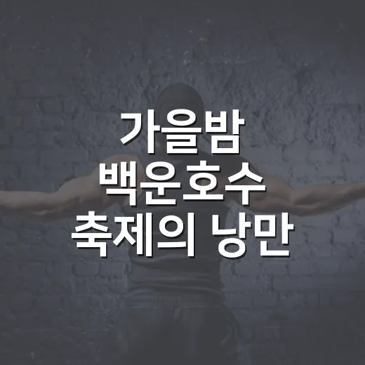 가을밤 백운호수 축제의 낭만