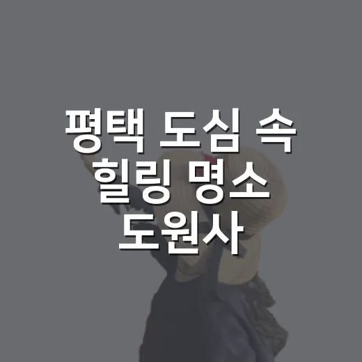 평택 도심 속 힐링 명소 도원사