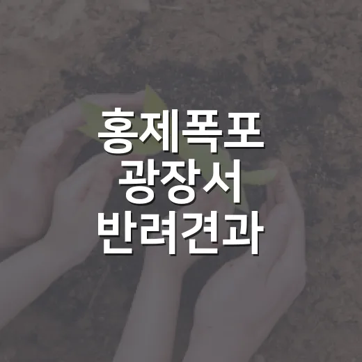홍제폭포 광장서 반려견과 함께하는 축제 열린다
