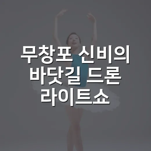 무창포 신비의 바닷길 드론 라이트쇼