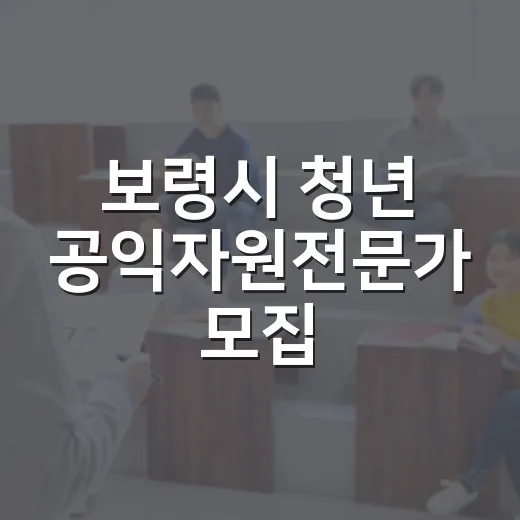 보령시 청년 공익자원전문가 모집