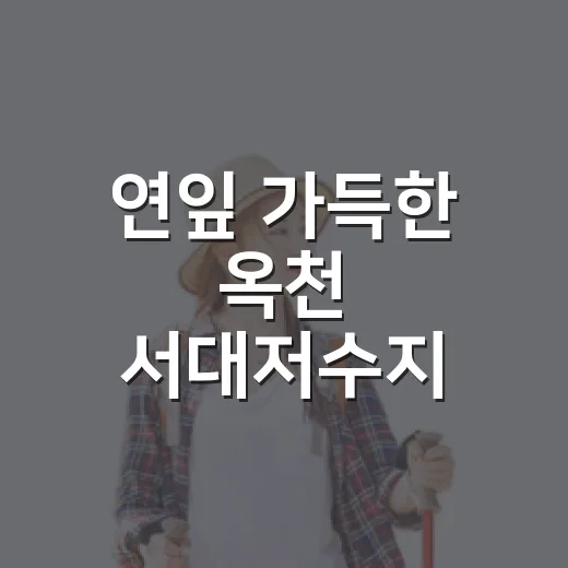 연잎 가득한 옥천 서대저수지 산책길