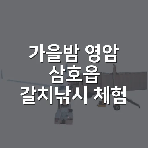 가을밤 영암 삼호읍 갈치낚시 체험 추천