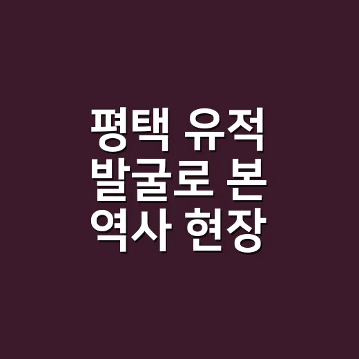 평택 유적 발굴로 본 역사 현장