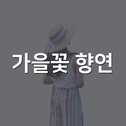 가을꽃 향연, 2026인제가을꽃축제 개막