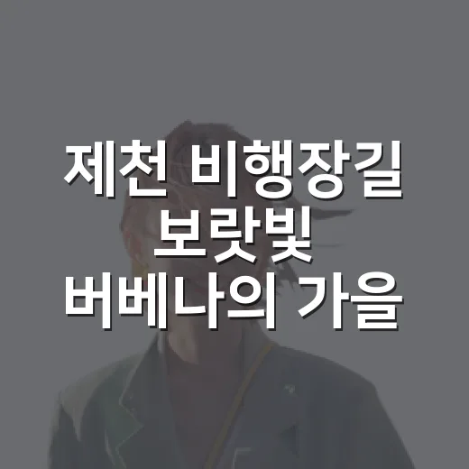 제천 비행장길 보랏빛 버베나의 가을 풍경