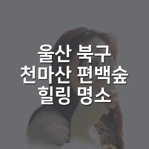 울산 북구 천마산 편백숲 힐링 명소