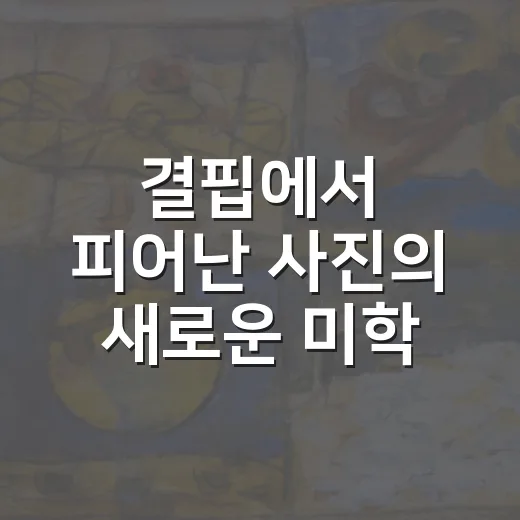 결핍에서 피어난 사진의 새로운 미학