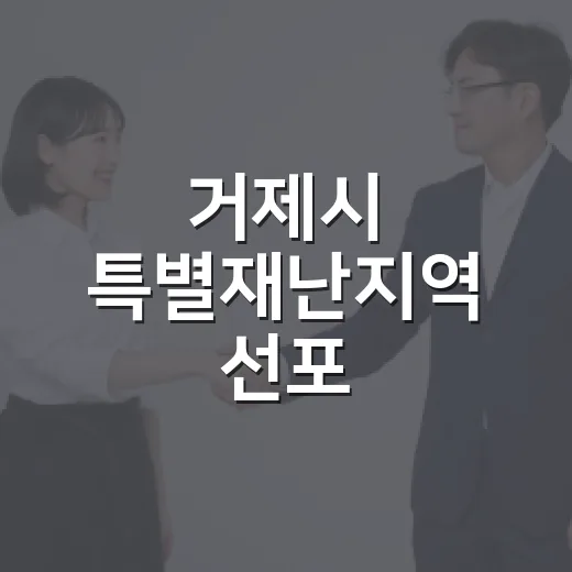 거제시 특별재난지역 선포, 시민 간접지원 안내