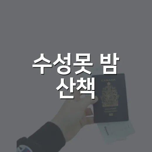 수성못 밤 산책, 도심 속 낭만과 힐링