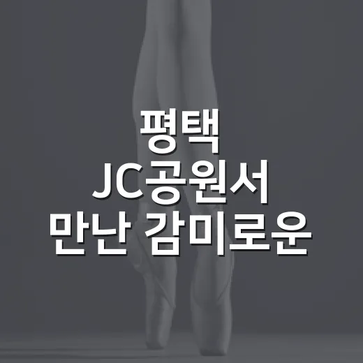 평택 JC공원서 만난 감미로운 음악의 밤