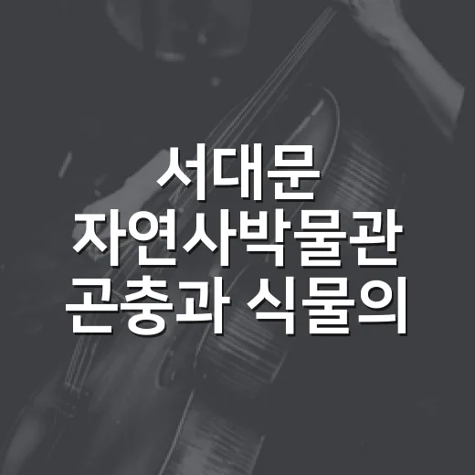 서대문 자연사박물관 곤충과 식물의 정원