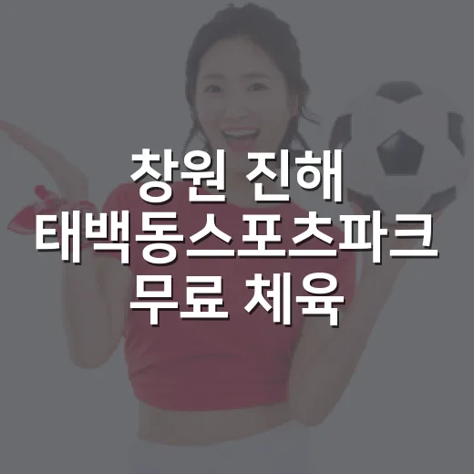 창원 진해 태백동스포츠파크 무료 체육시설 안내