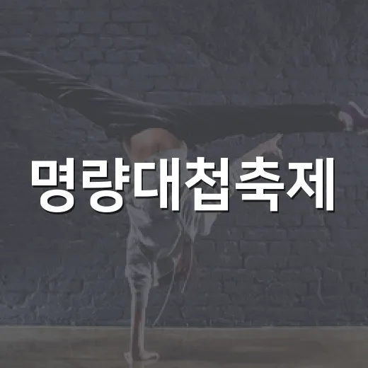 명량대첩축제, 김장훈·송가인 열정 무대 예고