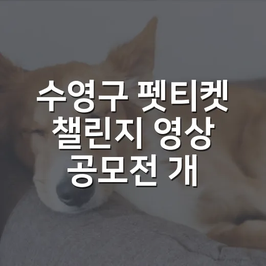 수영구 펫티켓 챌린지 영상 공모전 개최