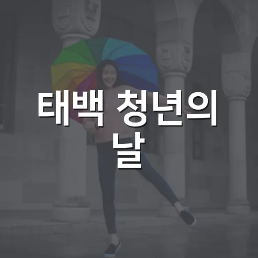 태백 청년의 날, 특별한 축제의 장