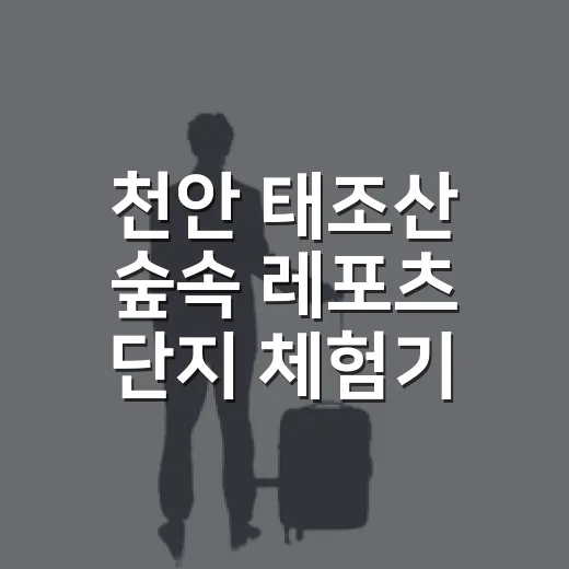 천안 태조산 숲속 레포츠 단지 체험기
