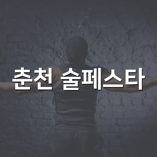 춘천 술페스타, 가을밤을 물들이다
