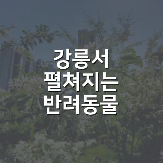 강릉서 펼쳐지는 반려동물 문화축제 올림펫