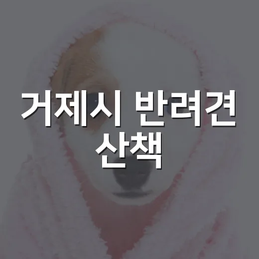 거제시 반려견 산책·문화교육 추가 모집