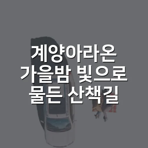 계양아라온 가을밤 빛으로 물든 산책길