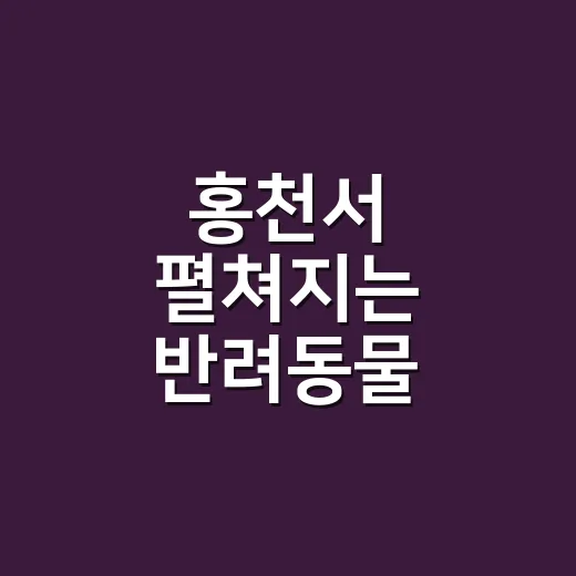 홍천서 펼쳐지는 반려동물 축제와 국제 도그쇼