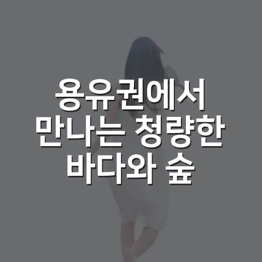용유권에서 만나는 청량한 바다와 숲 나들이