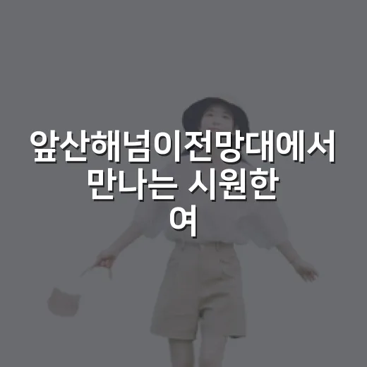 앞산해넘이전망대에서 만나는 시원한 여름 노을