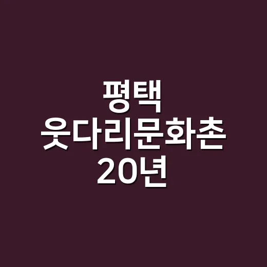 평택 웃다리문화촌 20년, 옷으로 피어난 예술