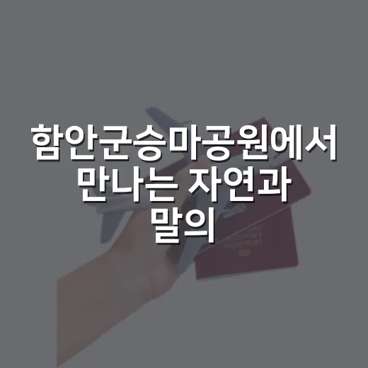 함안군승마공원에서 만나는 자연과 말의 조화