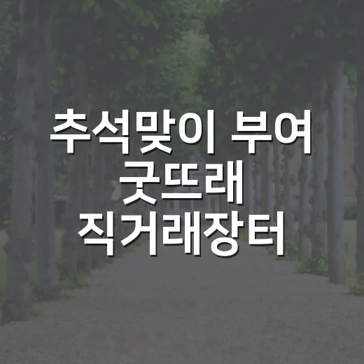 추석맞이 부여 굿뜨래 직거래장터 안내