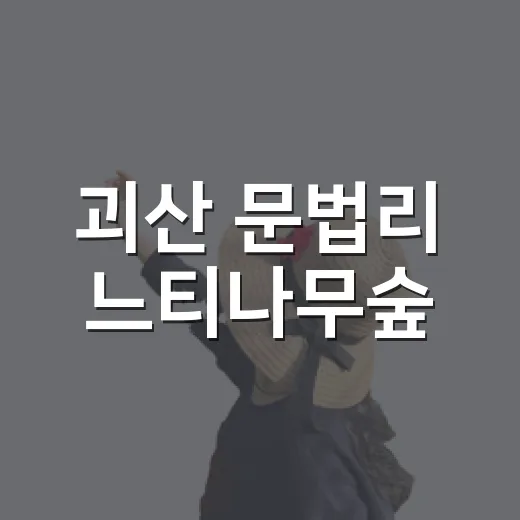 괴산 문법리 느티나무숲, 역사 품은 자연 쉼터