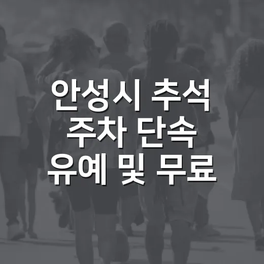 안성시 추석 주차 단속 유예 및 무료 개방