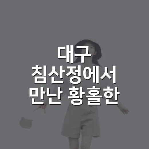 대구 침산정에서 만난 황홀한 노을 풍경