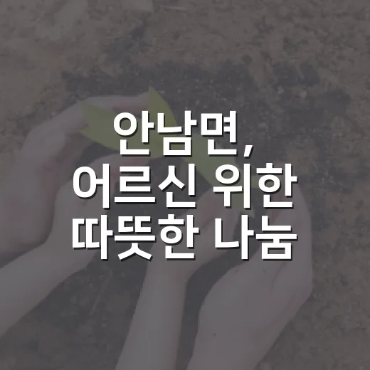 안남면, 어르신 위한 따뜻한 나눔 이어가