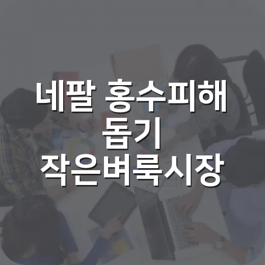 네팔 홍수피해 돕기 작은벼룩시장 성황
