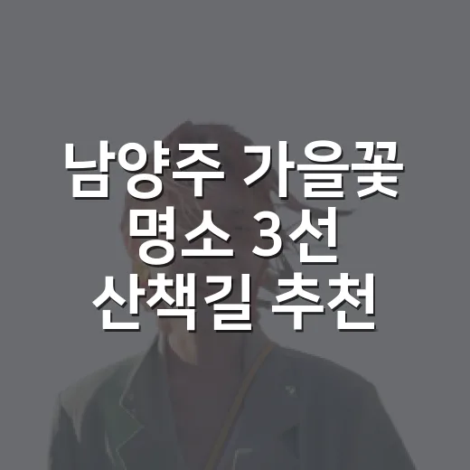 남양주 가을꽃 명소 3선 산책길 추천
