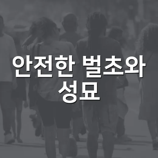 안전한 벌초와 성묘, 필수 수칙 점검