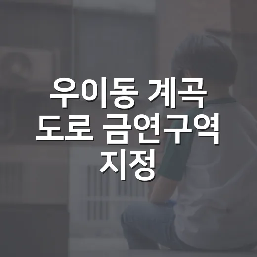 우이동 계곡 도로 금연구역 지정