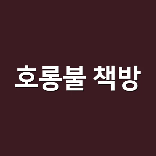 호롱불 책방, 용인 독립 서점의 따스한 연결고리