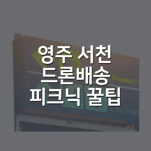 영주 서천 드론배송 피크닉 꿀팁
