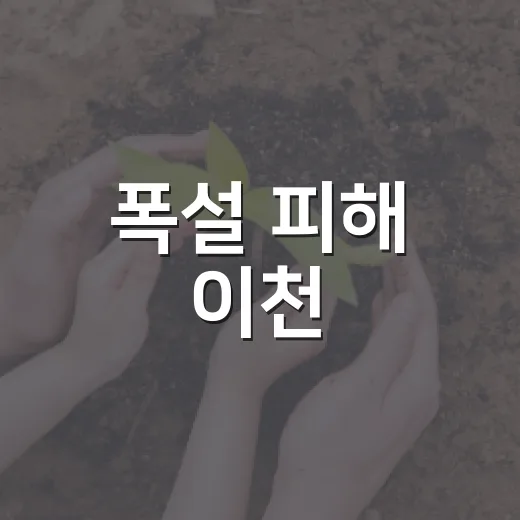 폭설 피해 이천, 전국 온정의 손길 이어져